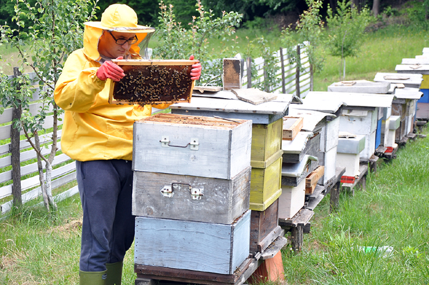 Здравље зрачи из кошнице: Како је Доња Трнава, код Угљевика, добила прву апи-инхал комору
